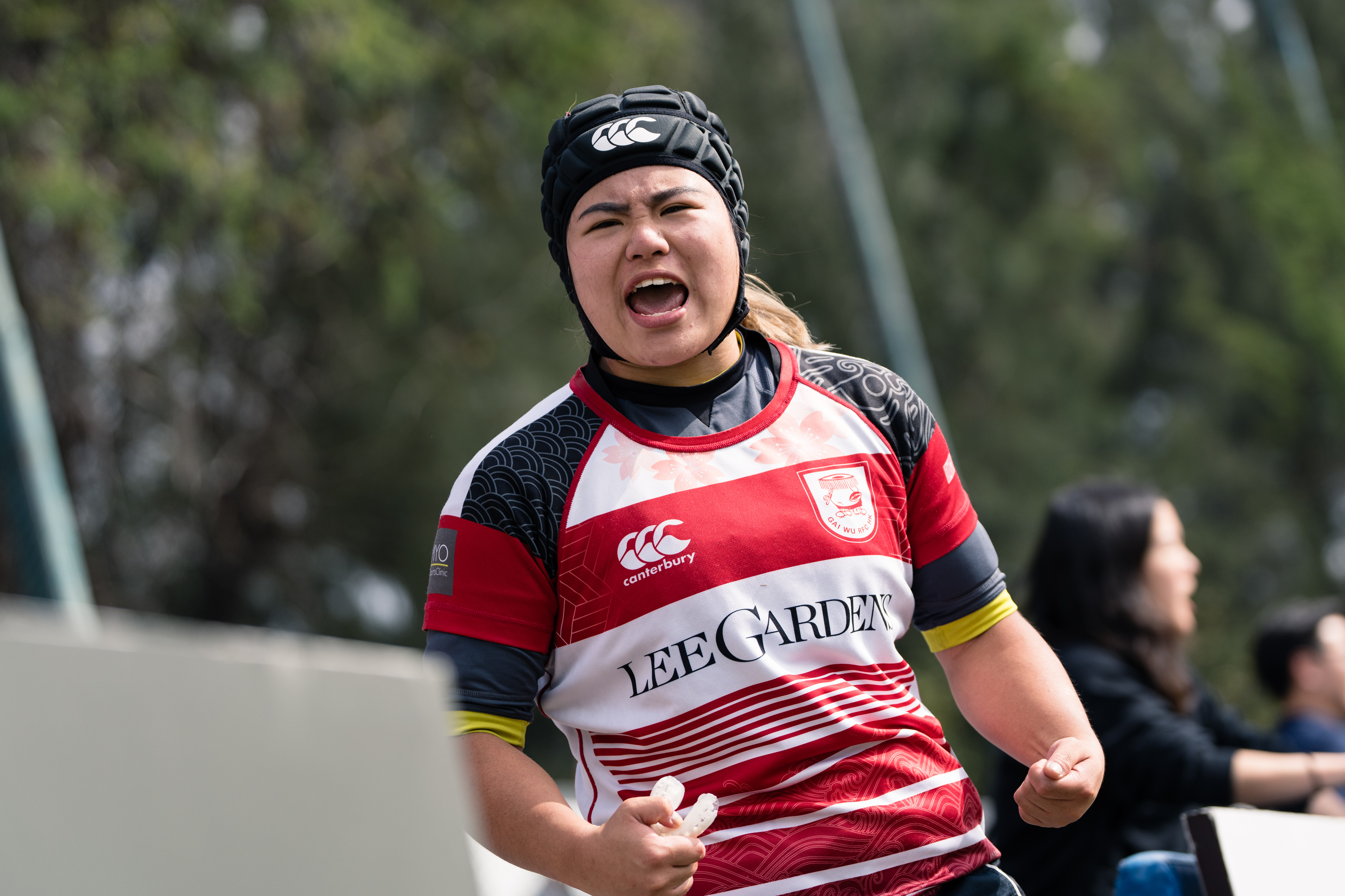 成人欖球球會會/欖球部認證條件