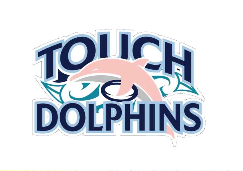 Touch the Dolphins