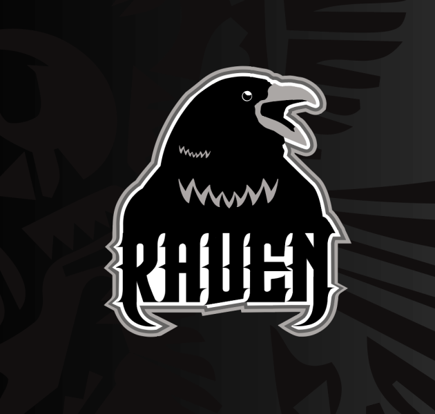 Raven Touch Football