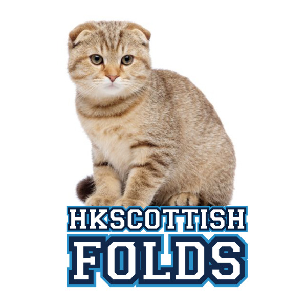 HKScottish FOLDS
